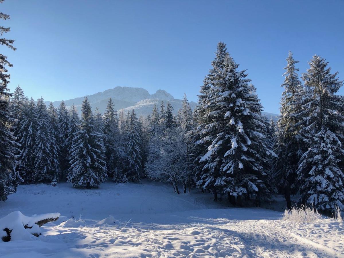 Apartament Toma Zakopane